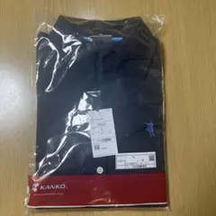 Item thumbnail for item 227a94e3-cbd6-4159-a3aa-4243d84fc5ac