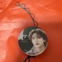 SEVENTEEN JOSHUA クリップ