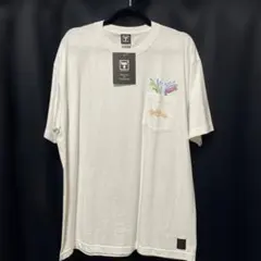 Item thumbnail for item 98cf687c-01c1-4c70-8bdd-04a9468f760f