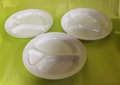 Item thumbnail for item e19348f4-f409-4a4d-aeb9-c3615812e9ca