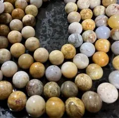 のっち様 リクエスト 2点 まとめ商品