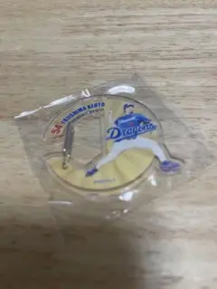 中日ドラゴンズ 2025年 ストアー ガチャ アクリル ピンズ 藤嶋健人 54