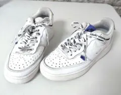 NIKE コートビジョン LO SE 22.5cm JO1