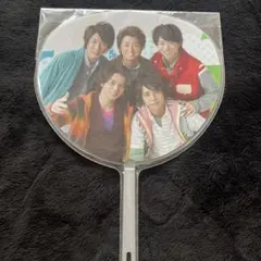 嵐 ミニうちわ 集合 Since 君と僕の見ている風景
