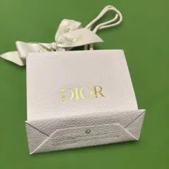 Dior ショップ袋 ギフトバッグ リボン付き