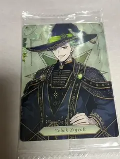 ツイステウエハウスカード セベク・ジグボル