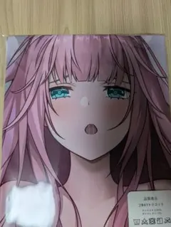 2wayトリコット　抱き枕カバー　152