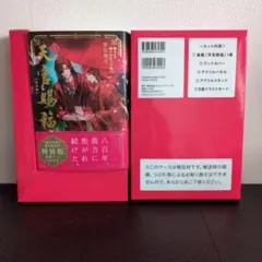 新品/特典付】小説 超かぐや姫！ ゲーマーズ限定 クリアファイル