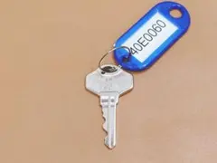 Item thumbnail for item 3330d0e9-5e2c-4896-b317-008b834b8a9f