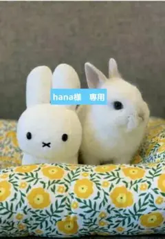 hana様　専用