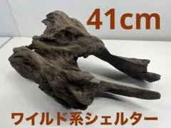 Item thumbnail for item e15abc6c-9061-473c-a70e-8f7e196feecd