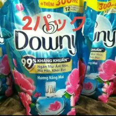 人気の香りベトナムダウニー サンライズフレッシュ お買い得本体800ml 詰替750ml セット アジアンダウニー