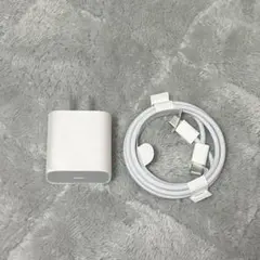Apple iPhone 純正 急速充電器20wとケーブルセット