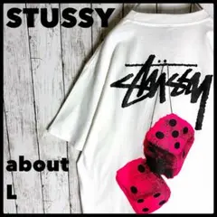 希少カラー 00s STUSSY Tシャツ ファジーダイス ピンクダイス バック