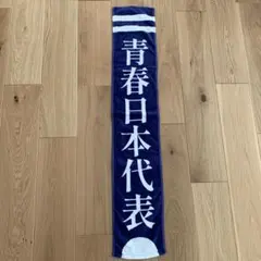 2025年最新】新しい学校のリーダーズ タオルの人気アイテム - メルカリ