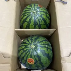 427千葉県産まるあさ大玉スイカ良品4Lサイズ1箱2玉入り - メルカリ