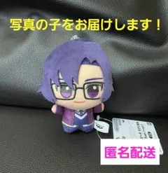 カラフルピーチ ちびぐるみ 2025ver vol.1 ぬいぐるみ もふ