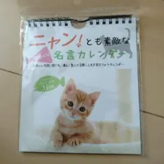 Item thumbnail for item 690fd11d-2f75-464b-9c88-2931733b749b