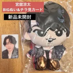 SnowMan 宮舘涼太 すのチル ぬいぐるみ チラ見カード