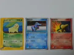 旧裏 ポケモンカード チコリータ ヒノアラシ ワニノコ 進化系セット
