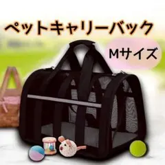 Item thumbnail for item e87e69d2-8278-4080-a9ec-3d490df7ba47