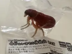 ノミ フィギュア 奇妙ないきもの博物誌のサムネイル