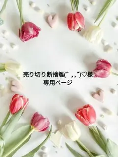 売り切り断捨離(՞ ܸ. .ܸ՞)︎♡様オーダー専用