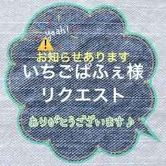 いちごぱふぇ様 リクエスト 3点 まとめ商品