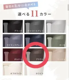 BELLE SHEER ブラウン 着圧レギンス S