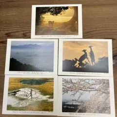 Item thumbnail for item c39b8600-e8a3-4395-942d-683611e99076