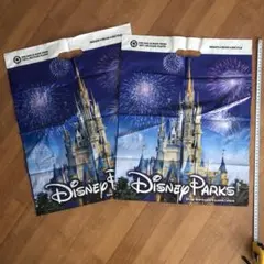 【入手困難】海外 ディズニー　ショップ袋　2枚セット