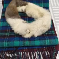 ファーラウンドマフラー ホワイトブラウンとチェックマフラー