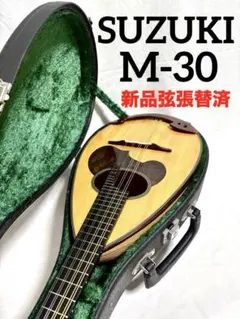 Item thumbnail for item a7055753-62cc-4315-8180-b4ad49680812