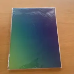 嵐　Beautiful Worldライブパンフレット