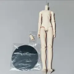 パラボックス 50cm男の子ボディ ホワイティ ボディタイツ DD用首軸