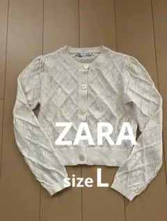 ZARA カーディガン Lのサムネイル