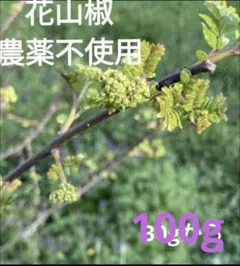2026年最新】花山椒 100gの人気アイテム - メルカリ