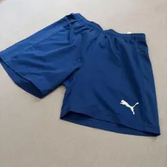 PUMA サッカー ハーフパンツ EVO TRG
