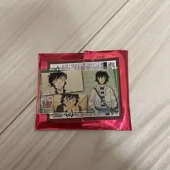 名探偵コナン コナンランド トレーディングミニアクリルブロック 世良 真純