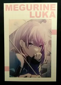 プロセカ アニメイト 万博 サマーフェア 特典 イラストカード 巡音ルカ