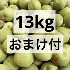 梅 13kg 13キロ 生梅 梅 ウメ うめ 梅干し 梅酒 訳ありのサムネイル
