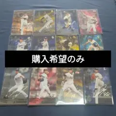プロ野球チップス2025　第2弾　最多奪三振カード　全12種　コンプリートセット