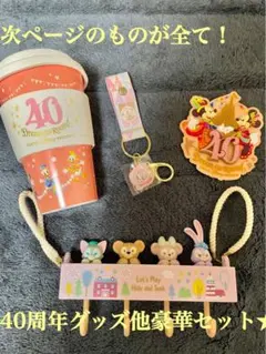 ディズニー　40周年記念　タンブラー　キーホルダー　キーフック他豪華セット！