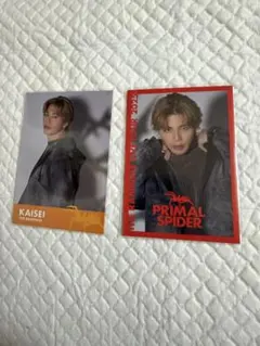 THE RAMPAGE LIVE TOUR 2025 PRIMAL SPIDER