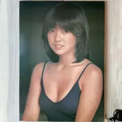 宮崎美子　木製ポスターパネル 昭和レトロ 宮崎美子さん木製パネルポスター - メルカリ