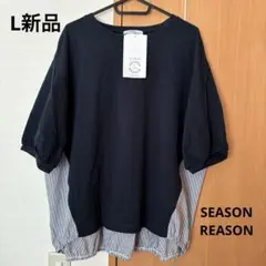 L新品シーズンリーズンSEASONREASONバックストライプ切替プルオーバー