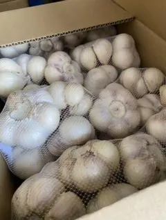 2026年最新】青森県産にんにく 2l 3kgの人気アイテム - メルカリ