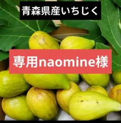青森県産ジャンボいちじく 専用naomine様20個