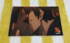 銀魂 土方十四郎(アップ) 生ブロマイドコレクション ラミネート加工済