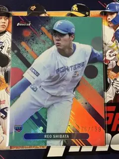 柴田獅子 スポーツカード